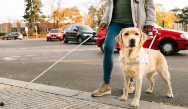 Attacks on guide dogs leave animals too anxious to work