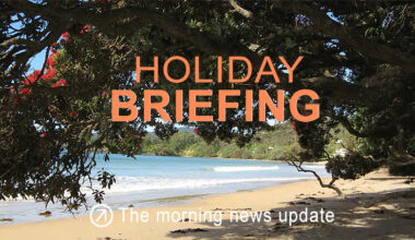 Holiday briefing: Global downgrade of the USD, upgrade of risk assets