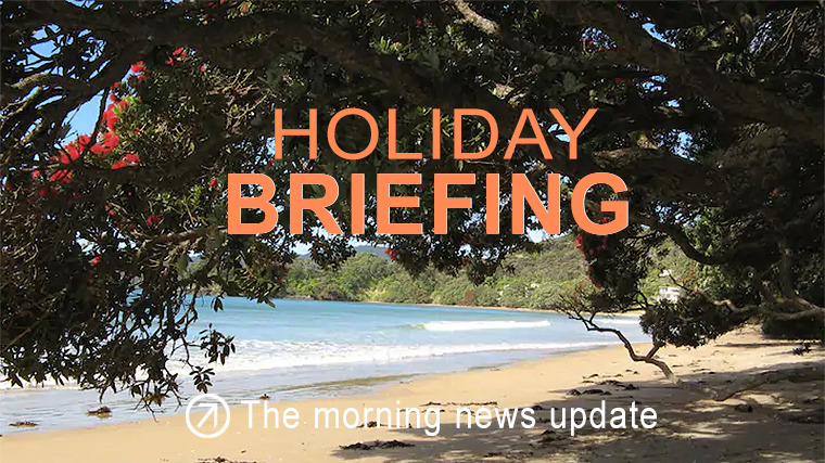 Holiday briefing: Global downgrade of the USD, upgrade of risk assets