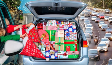 AA’s warning for summer drivers