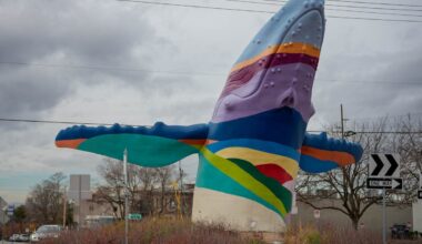 "Out of the Blue" whale sculpture in SLC's 9th and 9th will soon get a new look