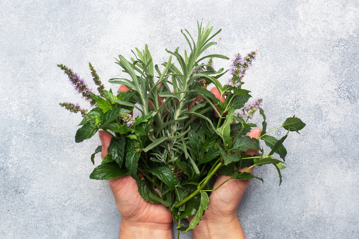 The herb linked to better memory, lower anxiety and Alzheimer’s protection