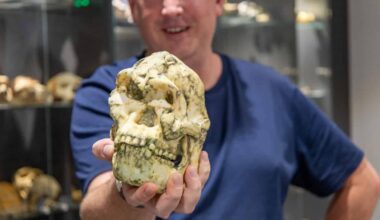 One of the Most Complete Human Ancestor Fossils Called Little Foot May Be New Species