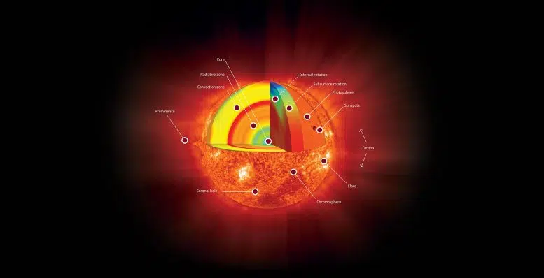 SOHO peered inside the Sun. 
