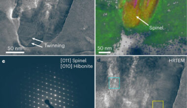 Characterization of a presolar spinel-hibonite grain from the asteroid Bennu. Image credit: Nguyen et al., doi: 10.1038/s41550-025-02688-3.