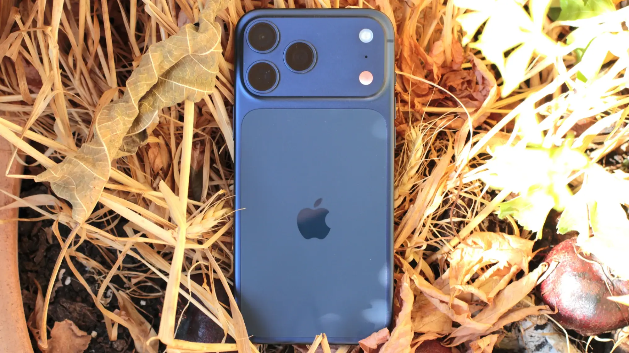 iPhone 17 Pro Max in grass