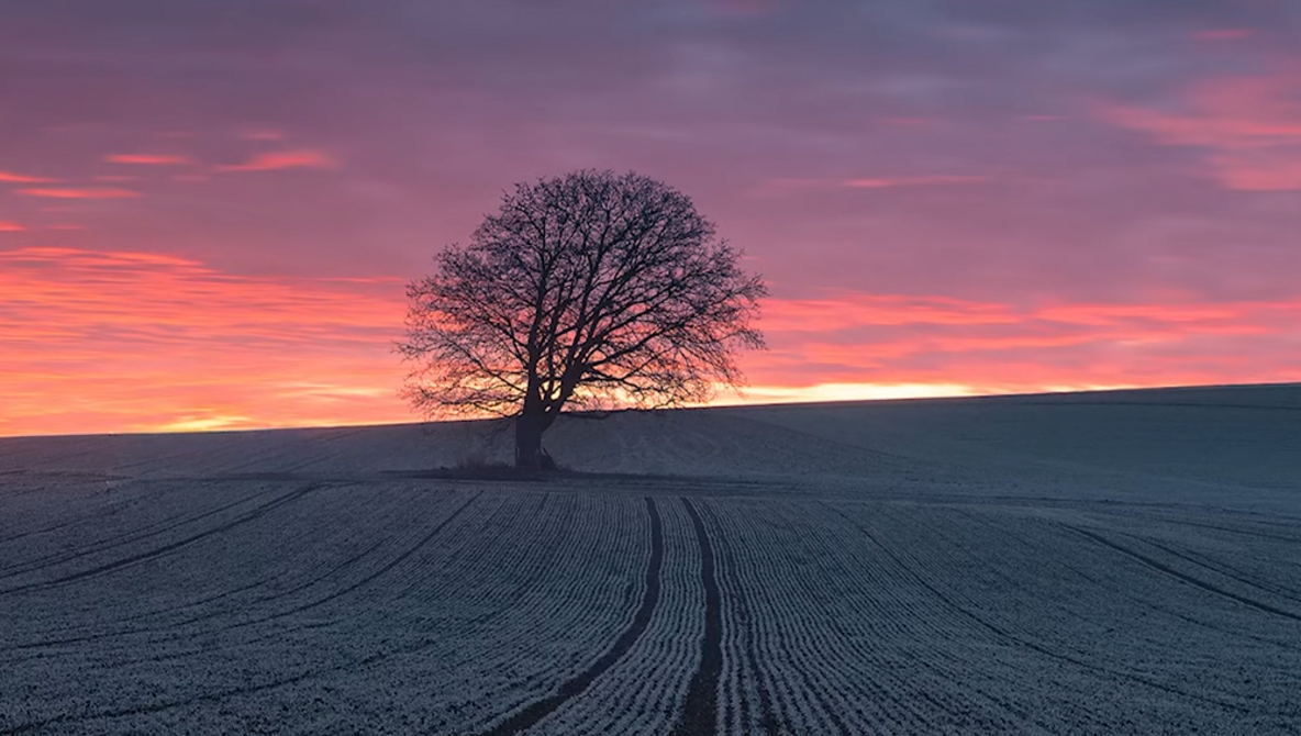 How to Get Crisp Detail Without the “Over-Sharpened” Look