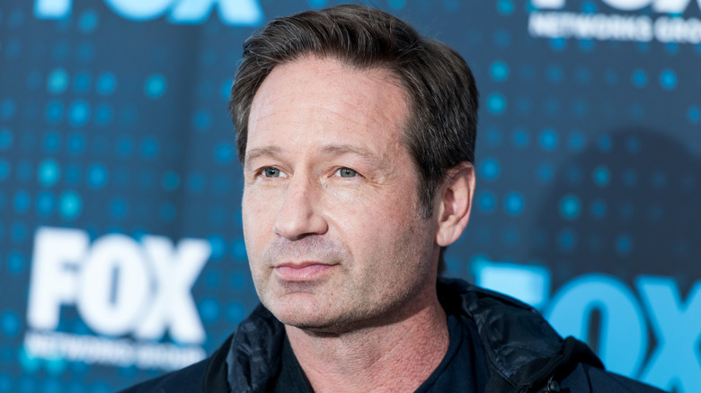 David Duchovny posing for photographers at a Fox Network event