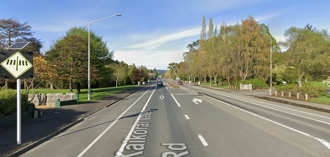 Speeding teenager busted with ammo in Dunedin