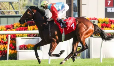 Racing's 2026 crystal ball