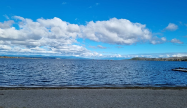 Boy left swimming for his life as rescue delayed by police