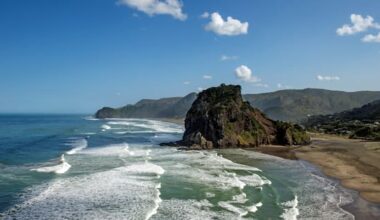 Person dies after being swept away by waves off Piha