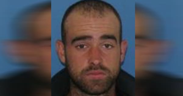 Police renew appeal in search for Mitchell Cole, sighting of man probed