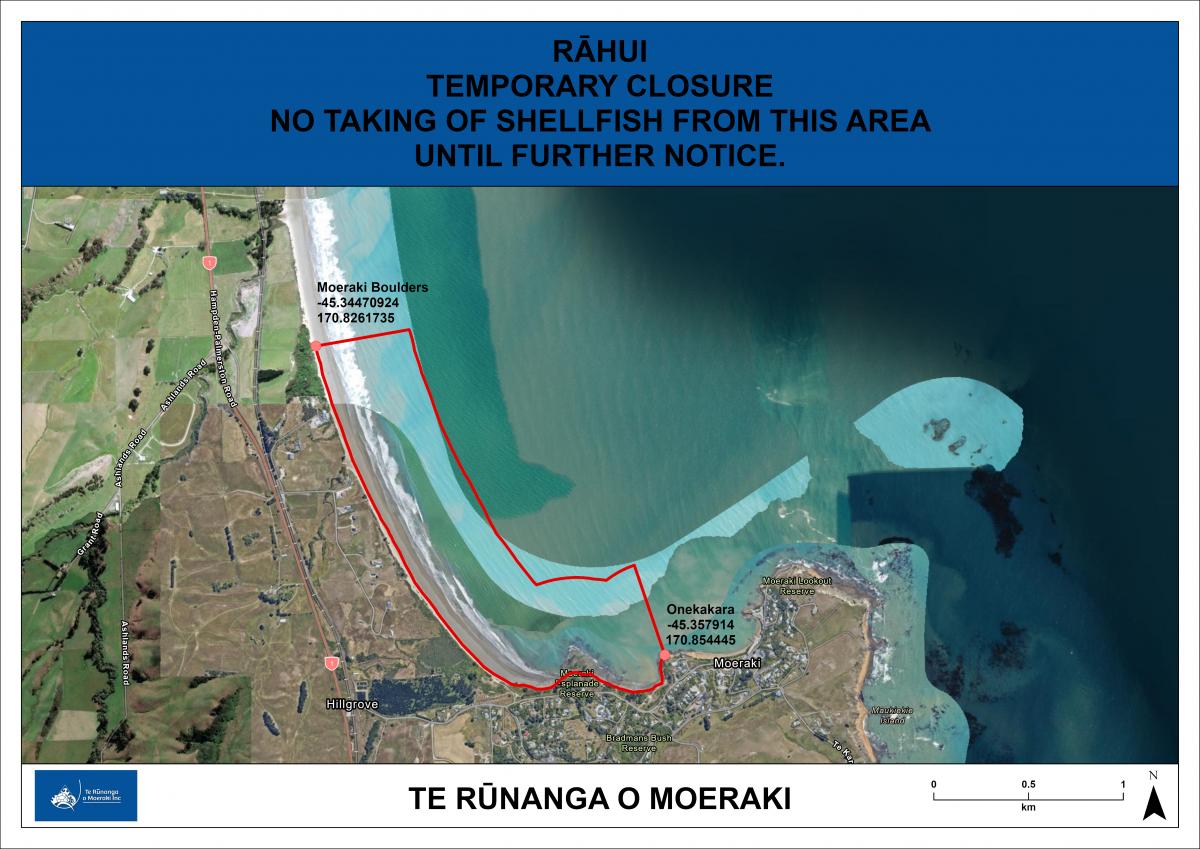 Rāhui in place for Moeraki to allow shellfish to recover