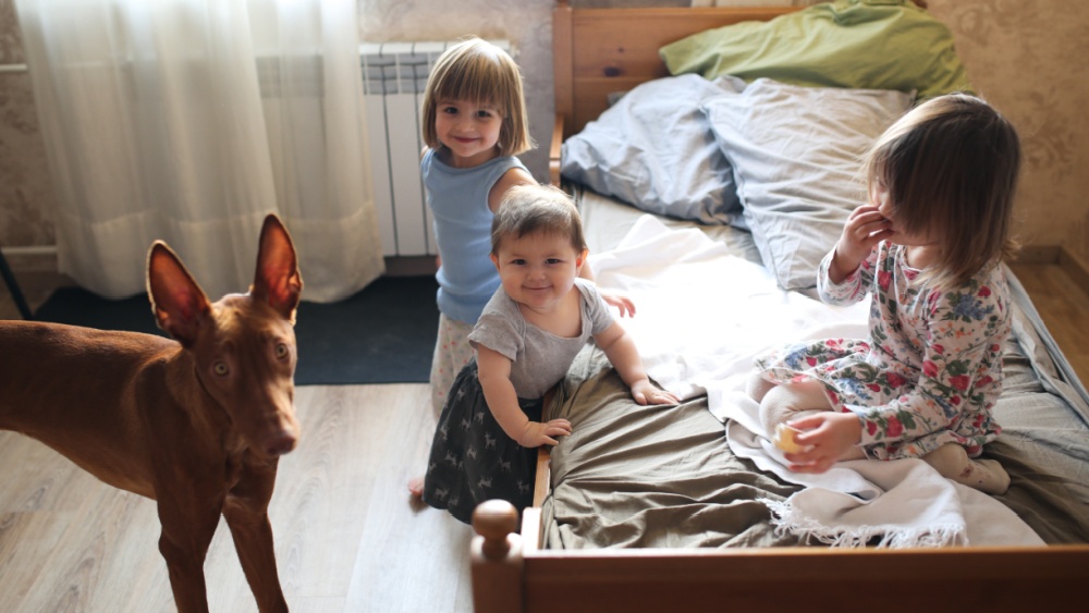 3 kids and a dog posing in front of one bed