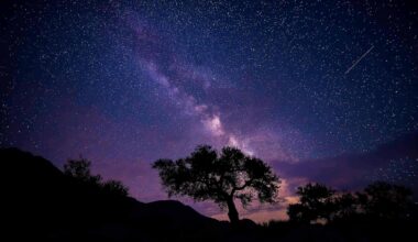 Night Sky Tonight (Dec. 15, 2025): Geminids Encore, Orion Nebula Peak, and a Rare Interstellar Comet Turns Green