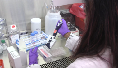 Northwestern Medicine's new antibody therapy helps immune system identify, kill pancreatic cancer cells