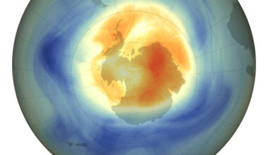 Small and short-lived 2025 ozone hole confirms long-term recovery trend