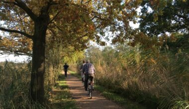 APG to cut up to 1,200 jobs as new pension system looms