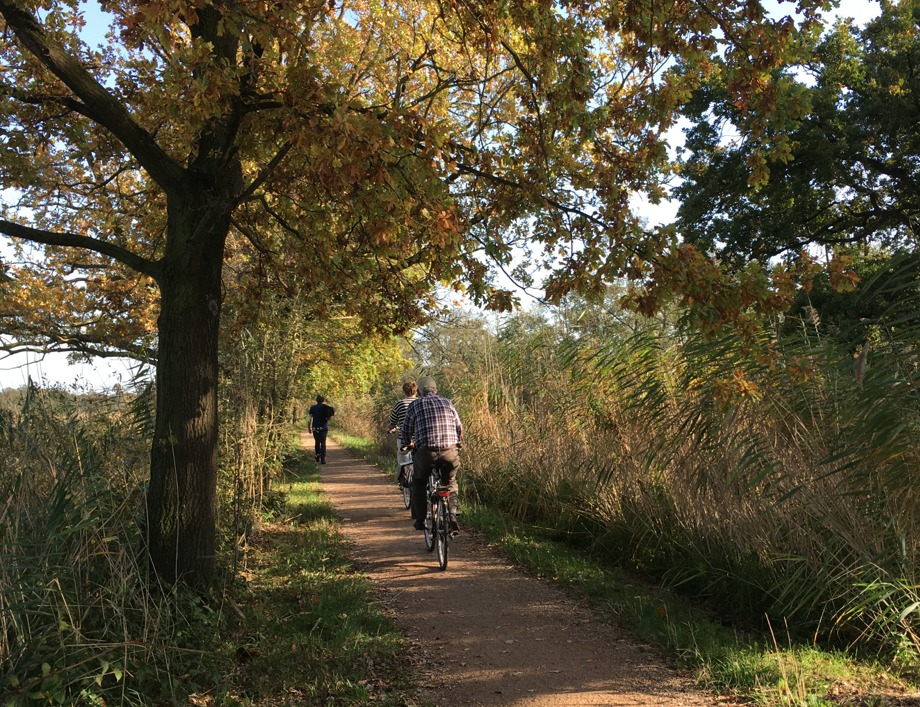 APG to cut up to 1,200 jobs as new pension system looms