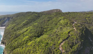 Plans underway for 4km predator proof fence at base of Farewell Spit