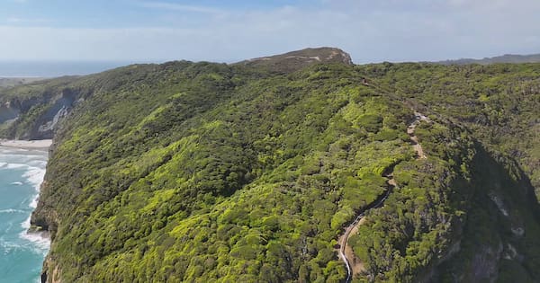 Plans underway for 4km predator proof fence at base of Farewell Spit