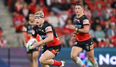 Return and earn your spot: Dolphins seek to solve forward puzzle