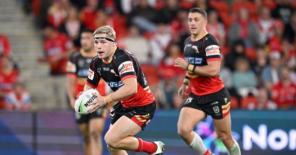 Return and earn your spot: Dolphins seek to solve forward puzzle