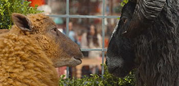 The Sheep Detectives Trailer