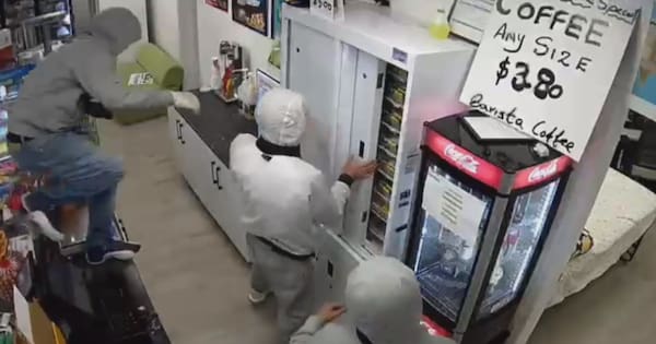 Concerns raised over new citizen's arrest bill