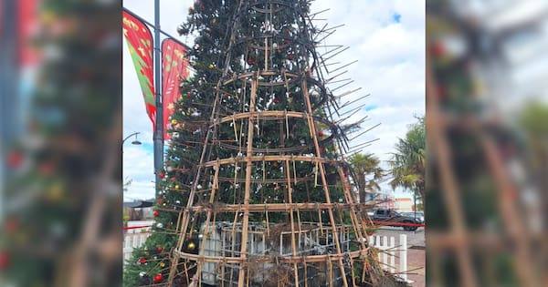 Man arrested after 'significant fire damage' to Timaru's Xmas tree
