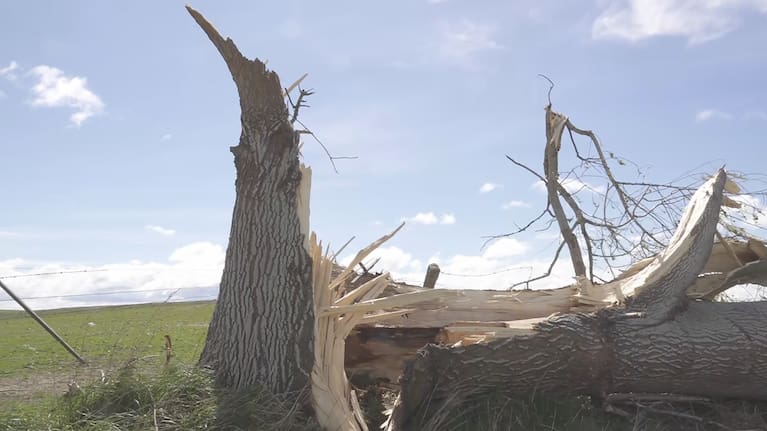 Rural Communities Minister Mark Patterson described "trees down absolutely everywhere" in Clutha and Southland.