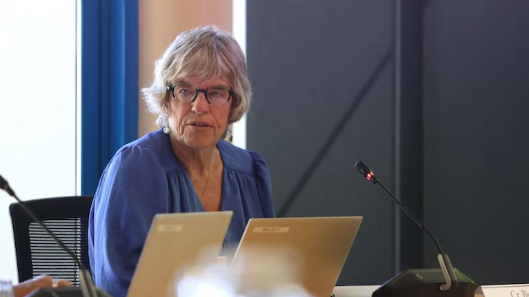 Tasman District councillor Celia Butler said the region had been waiting on national leadership when it updated its cat rules.