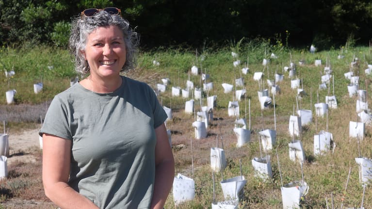 Tasman Environment Trust manager Sky Davies says including feral cats in the Predator Free 2050 strategy will “shine a light” on the impact they have on biodiversity.