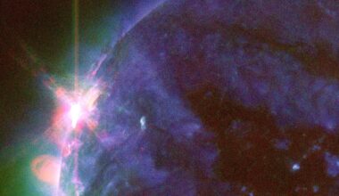 Today's biggest science news: X-class solar flares | Chernobyl fungus | Modern humans interbred with 'hobbits'