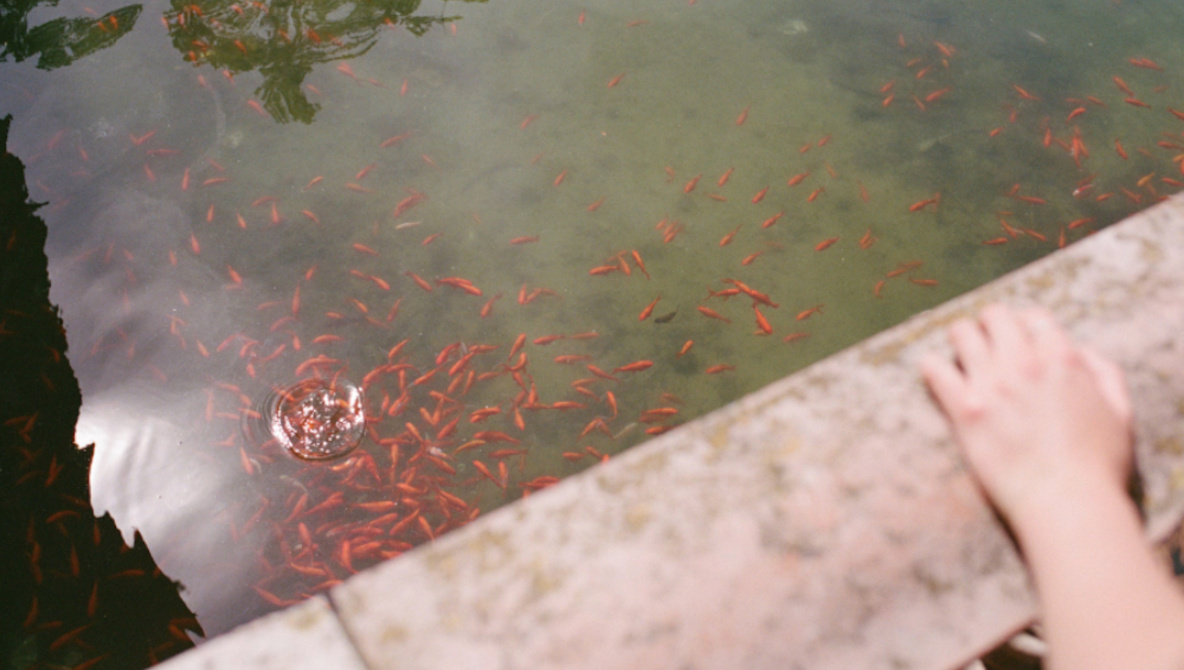 Stop Obeying Composition Rules and Start Making Better Pictures