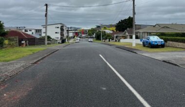 The quiet street living with Auckland’s noisiest neighbours