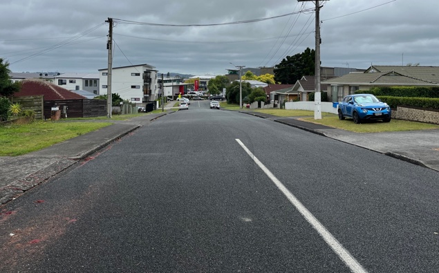 The quiet street living with Auckland’s noisiest neighbours