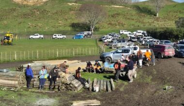 Mother's pleas went unanswered before 5-year-old son went missing