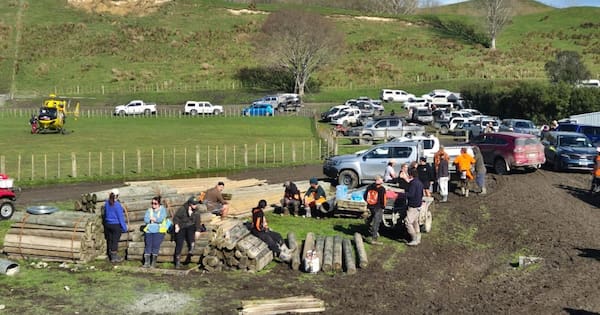 Mother's pleas went unanswered before 5-year-old son went missing