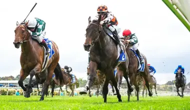 Three 2YOs to follow in 2026