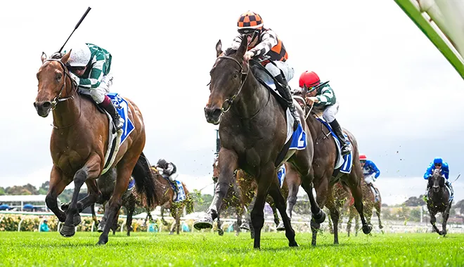 Three 2YOs to follow in 2026