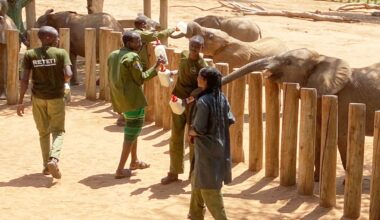 This safari through Kenya emphasizes the impact of wildlife conservation