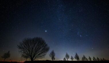 How to Watch the Last Meteor Shower of 2025