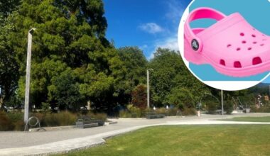 Bashed dad unhappy as offender sentenced to community work after Rotorua playground attack