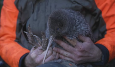 A look back at the positive moments of 2025