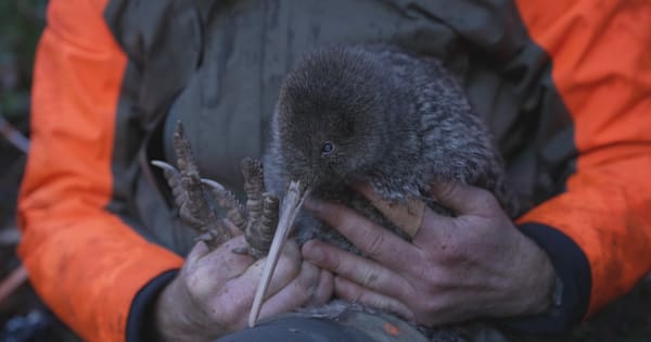 A look back at the positive moments of 2025