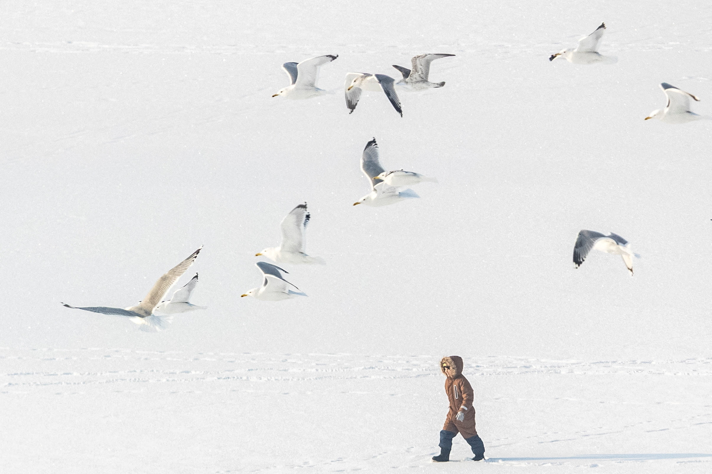 A boy walks on a frozen lake on a frosty winter day in Kyiv