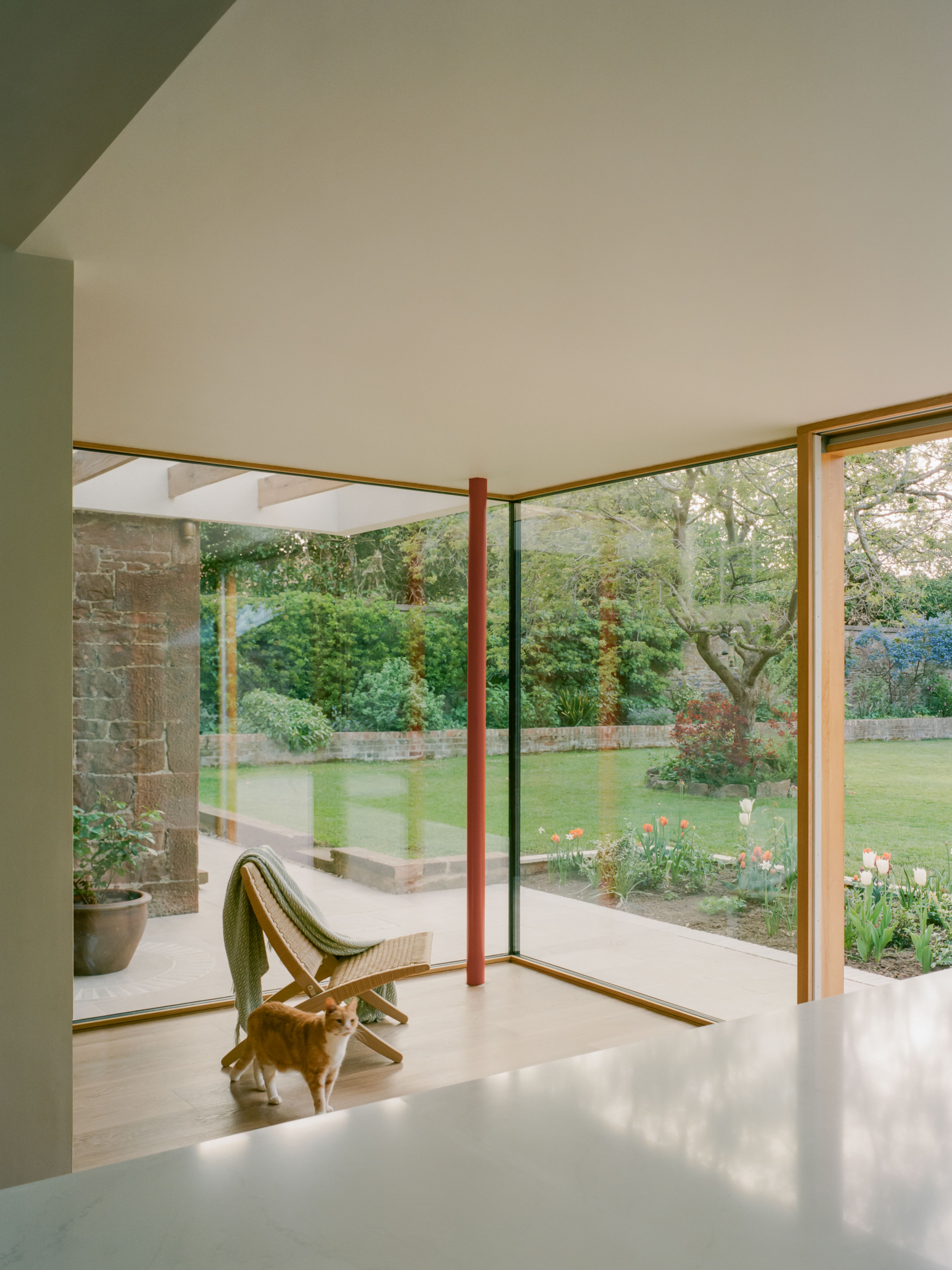 An orange cat standing on a light wood floor inside Whitberry House, looking out through a large glass wall at a green garden with flowers and a stone wall.