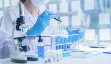 New Zealand employer's 'most comprehensive' training plan backfires into $30K loss